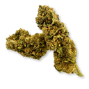 Pumpkin Smash Ökopack Blüten Lucky Hemp