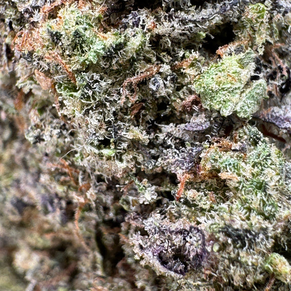 Purple Punch Ökopack Blüten Lucky Hemp