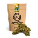 Super Lemon Haze Ökopack Blüten Lucky Hemp