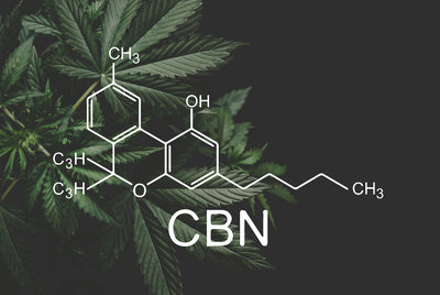 Die Kraft von CBN: Die Entdeckung des Potenzials von Cannabinol