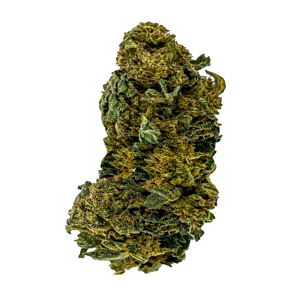 Jack Herer