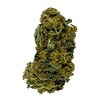 Jack Herer