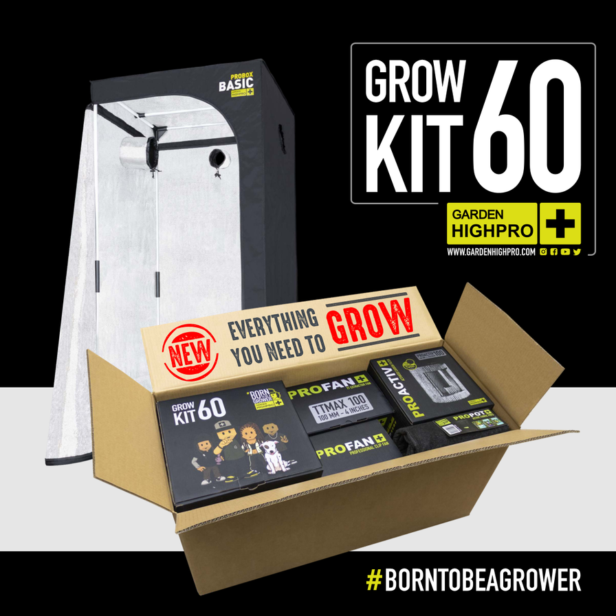 Growbox Komplettset 60x60 Zubehör Lucky Hemp   