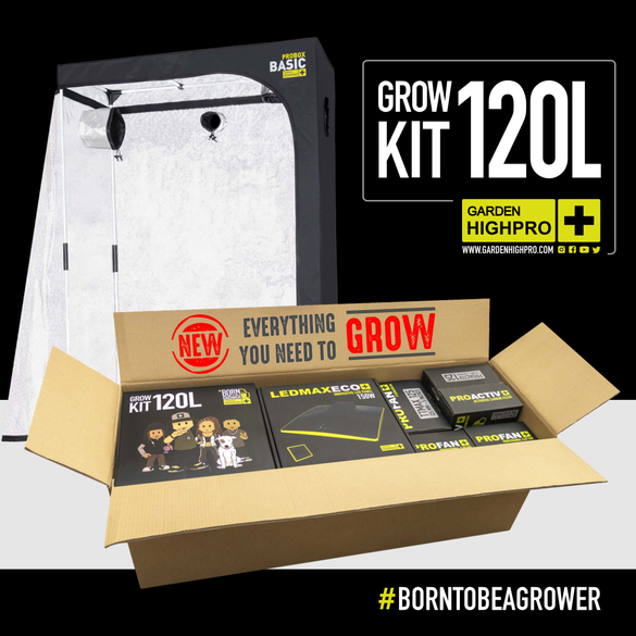 Growbox Komplettset 120x60 Zubehör Lucky Hemp   