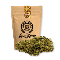 Lemon OG Ökopack Blüten Lucky Hemp