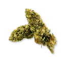 CBG Punch Ökopack Blüten Lucky Hemp