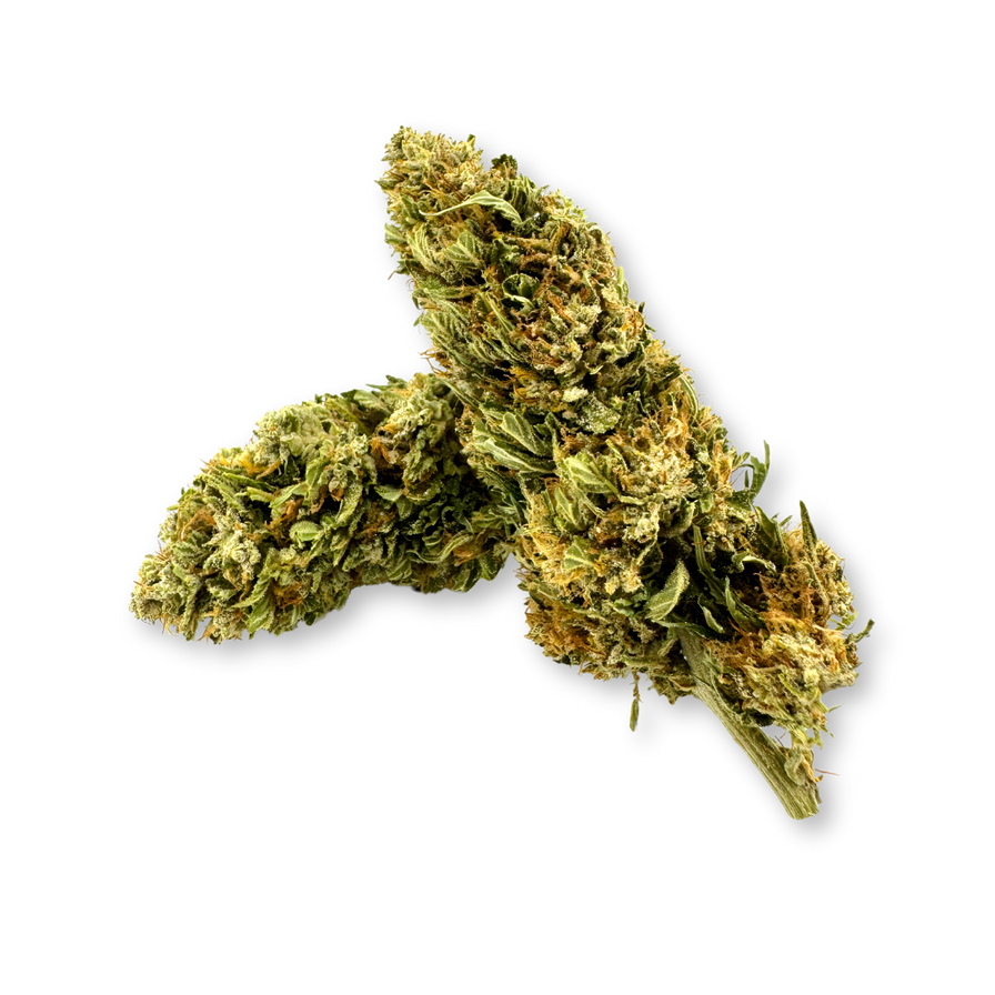 CBG Punch Ökopack Blüten Lucky Hemp