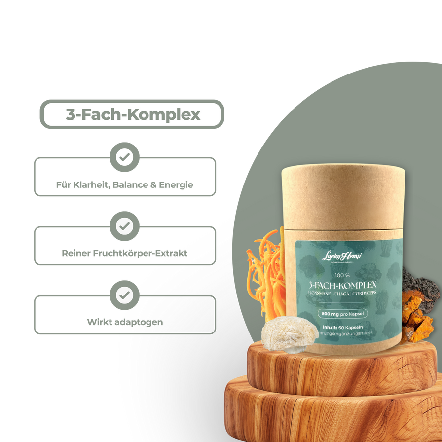 3-Fach-Komplex Vitalpilzextrakt Vitalpilze Lucky Hemp