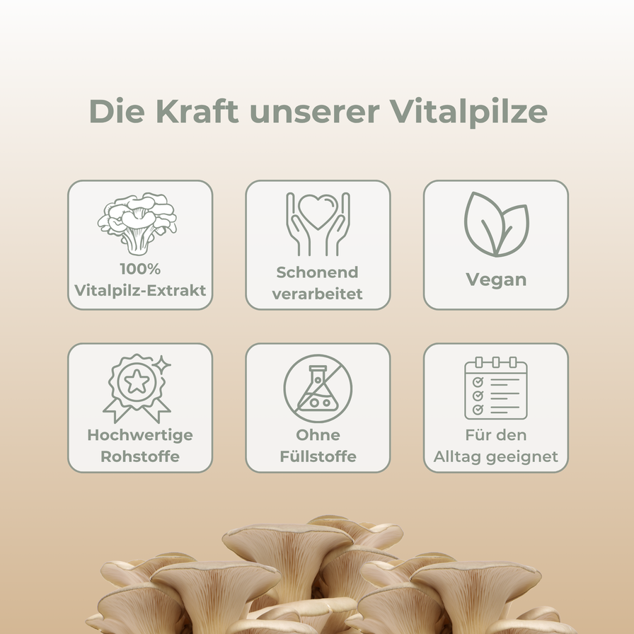 3-Fach-Komplex Vitalpilzextrakt Vitalpilze Lucky Hemp