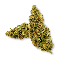 Lemon OG Ökopack Blüten Lucky Hemp