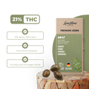 AK47 Samen Automatik Samen Lucky Hemp