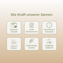 AK47 Samen Automatik Samen Lucky Hemp