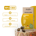 Amnesia CBD Samen Feminisiert Samen Lucky Hemp