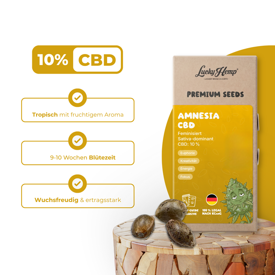 Amnesia CBD Samen Feminisiert Samen Lucky Hemp