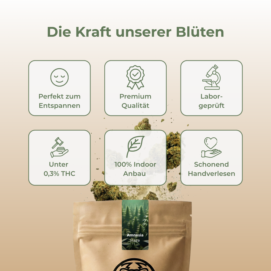 Amnesia Haze Ökopack Blüten Lucky Hemp