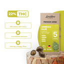 Amnesia Haze Samen Feminisiert Samen Lucky Hemp