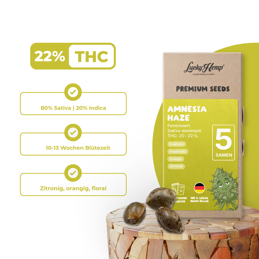 Amnesia Haze Samen Feminisiert Samen Lucky Hemp