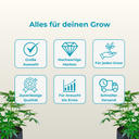 Cannabinoid Analyse - THC Test Kit Zubehör Lucky Hemp