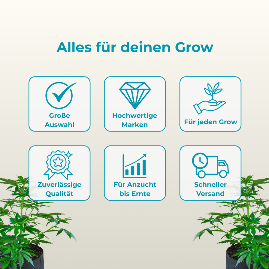 Cannabinoid Analyse - THC Test Kit Zubehör Lucky Hemp