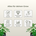 BioBizz Trypack Indoor Dünger Growzubehör Lucky Hemp