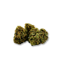Black Berry Ökopack Blüten Lucky Hemp