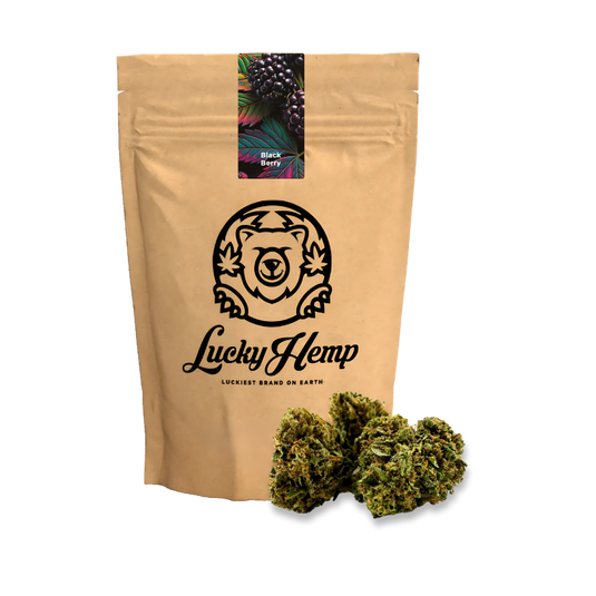 Black Berry Ökopack Blüten Lucky Hemp