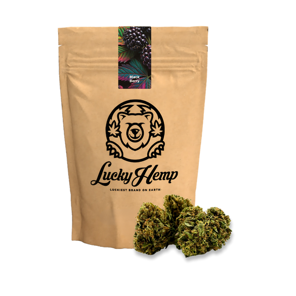 Black Berry Ökopack Blüten Lucky Hemp