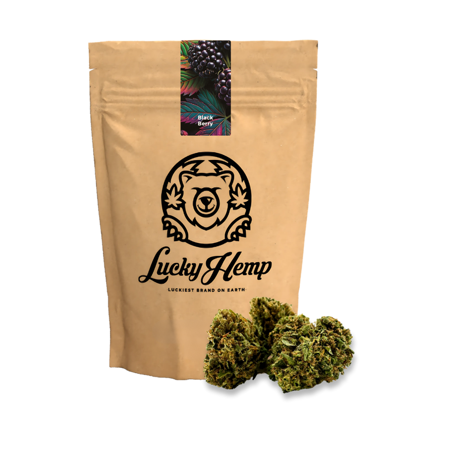 Black Berry Ökopack Blüten Lucky Hemp