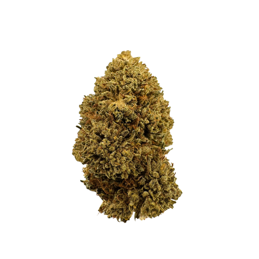 Northern Lights Ökopack