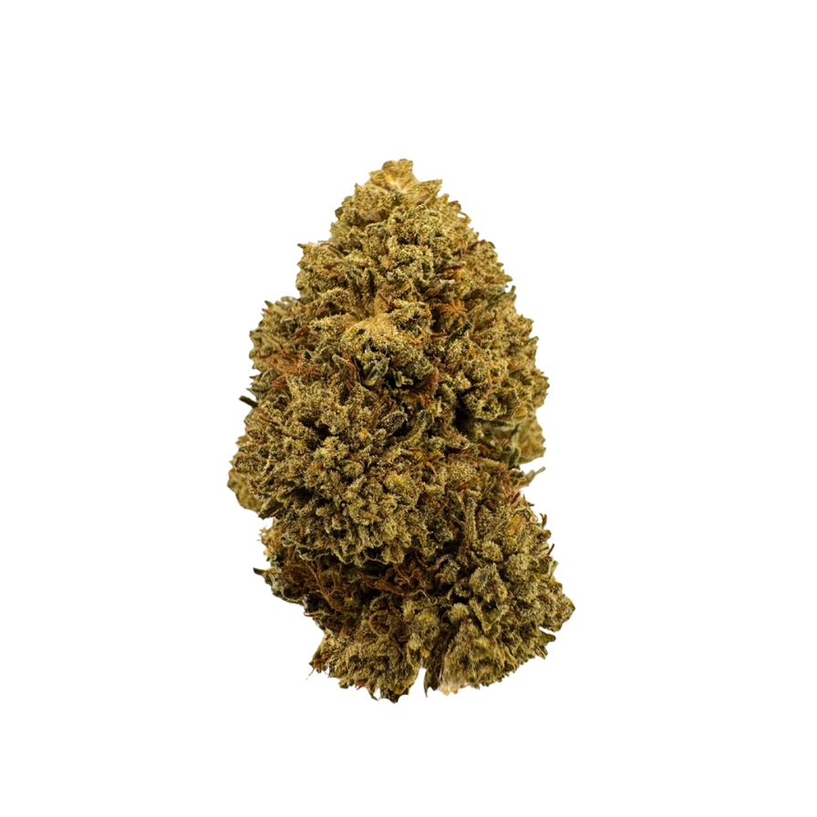 Northern Lights Ökopack Blüten Lucky Hemp