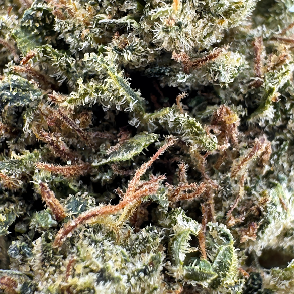 Sour Diesel Ökopack Blüten Lucky Hemp