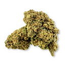 Orange Bud (TEST) (Kopie) Blüten Lucky Hemp