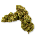 Orange Gelato Ökopack Blüten Lucky Hemp