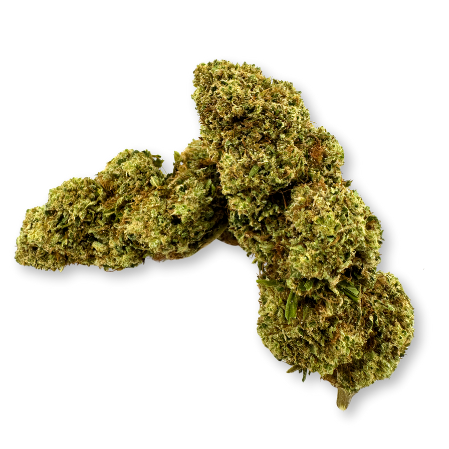 Orange Gelato Ökopack Blüten Lucky Hemp