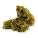 Cream Caramel Ökopack Blüten Lucky Hemp