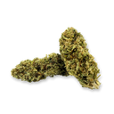 Dutch Cheese Ökopack Blüten Lucky Hemp