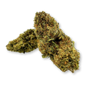 Amnesia Cheese Ökopack Blüten Lucky Hemp