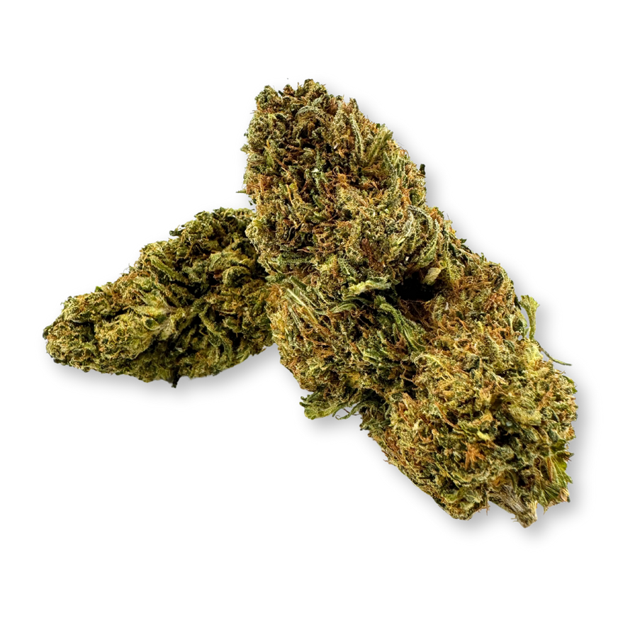 Amnesia Cheese Ökopack Blüten Lucky Hemp