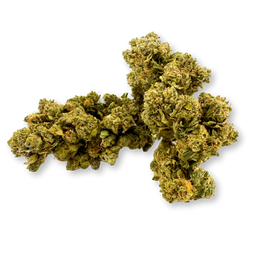 Silver Haze Ökopack Blüten Lucky Hemp