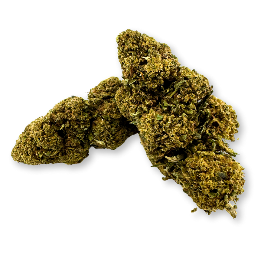 Strawberry Haze Ökopack Blüten Lucky Hemp