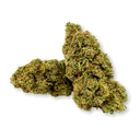 White Widow Ökopack