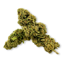 Banana Runtz Ökopack Blüten Lucky Hemp