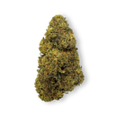 Tropical Haze Ökopack Blüten Lucky Hemp