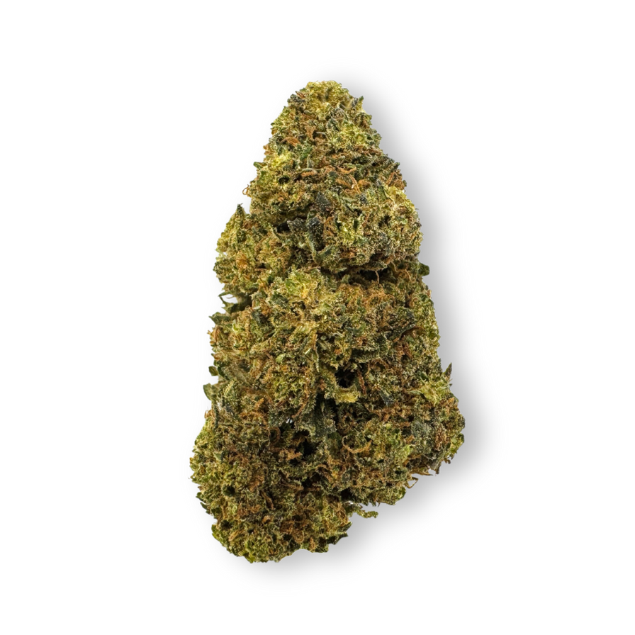 Tropical Haze Ökopack Blüten Lucky Hemp