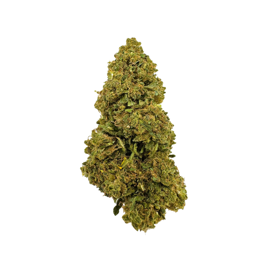 Blueberry Haze Ökopack Blüten Lucky Hemp