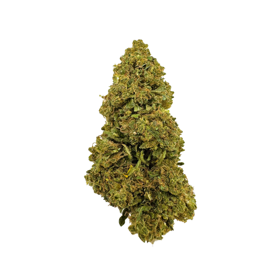 Blueberry Haze Ökopack
