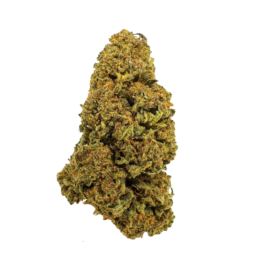 Lemon Pop Ökopack Blüten Lucky Hemp