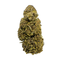 Earthquake Blüten Lucky Hemp