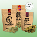 CBD-Blüten Testpaket