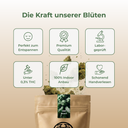 CBG Punch Ökopack Blüten Lucky Hemp